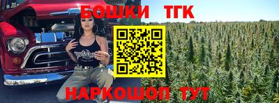ешки Можга