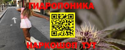 Альфа ПВП Моздок