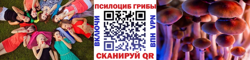 купить наркотики сайты  Тавда  Галлюциногенные грибы MAGIC MUSHROOMS 
